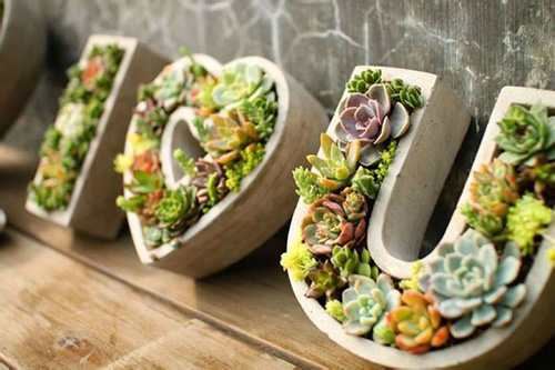 亚洲精品白浆高清久久久久久