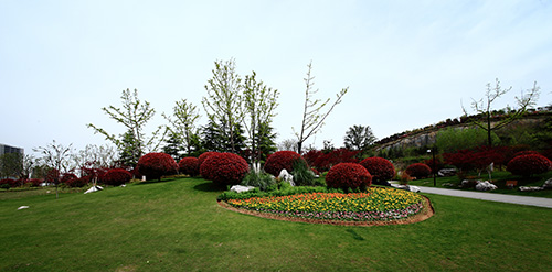 亚洲精品白浆高清久久久久久