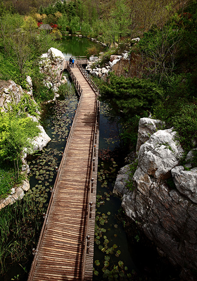 亚洲精品白浆高清久久久久久