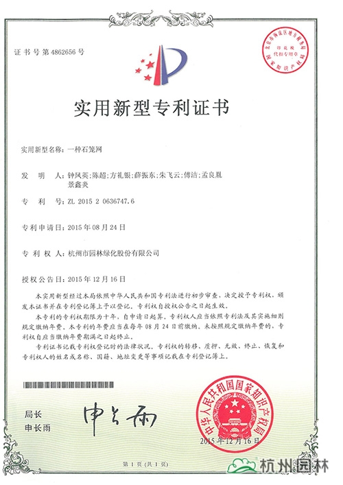 亚洲精品白浆高清久久久久久