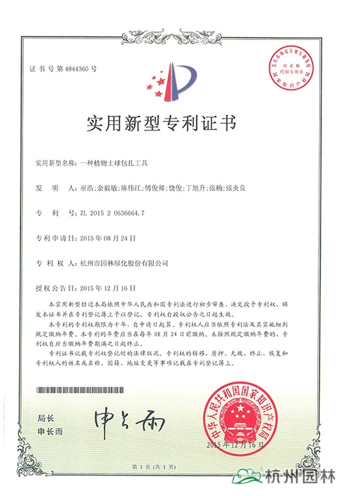 亚洲精品白浆高清久久久久久