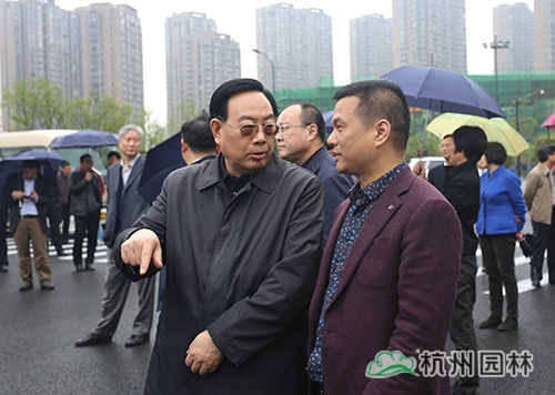 亚洲精品白浆高清久久久久久
