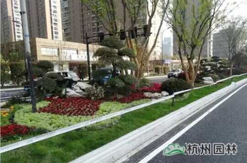 亚洲精品白浆高清久久久久久