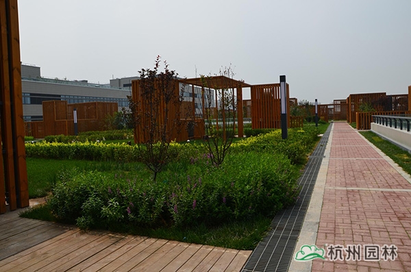 亚洲精品白浆高清久久久久久