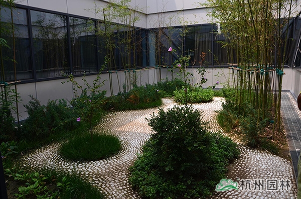 亚洲精品白浆高清久久久久久