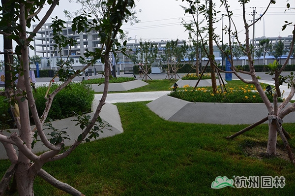 亚洲精品白浆高清久久久久久