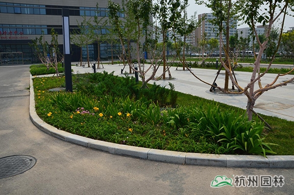 亚洲精品白浆高清久久久久久