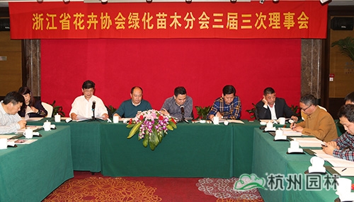 亚洲精品白浆高清久久久久久