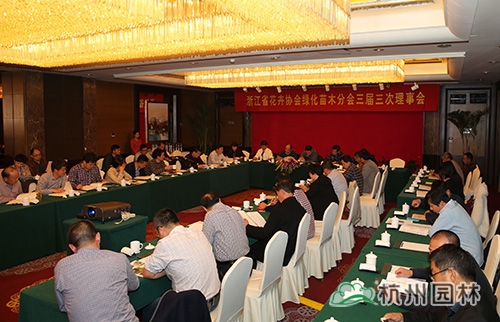 亚洲精品白浆高清久久久久久