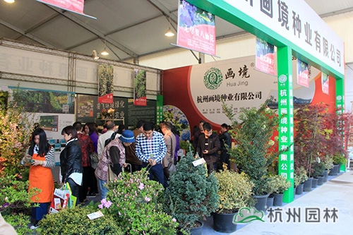 亚洲精品白浆高清久久久久久