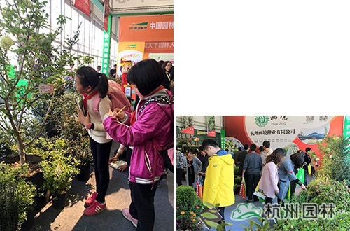 亚洲精品白浆高清久久久久久
