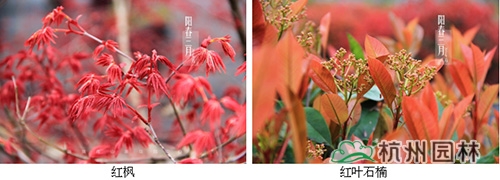 亚洲精品白浆高清久久久久久