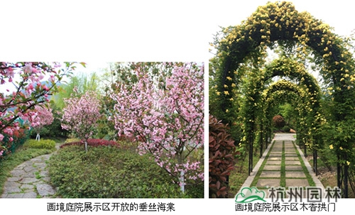 亚洲精品白浆高清久久久久久