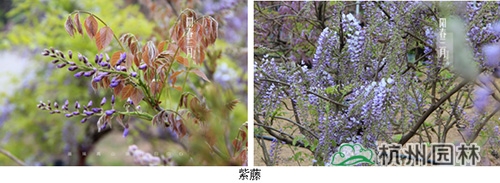 亚洲精品白浆高清久久久久久