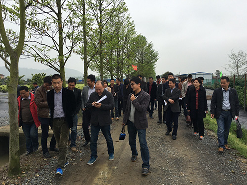 亚洲精品白浆高清久久久久久