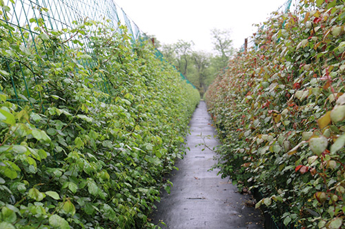 亚洲精品白浆高清久久久久久