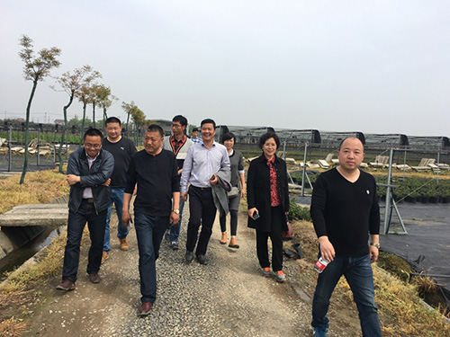 亚洲精品白浆高清久久久久久