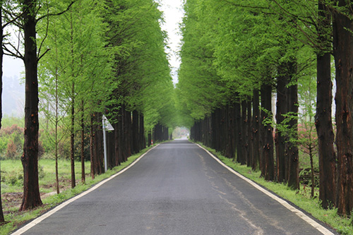 亚洲精品白浆高清久久久久久