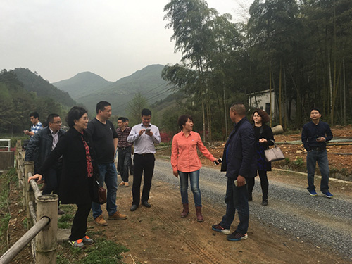 亚洲精品白浆高清久久久久久