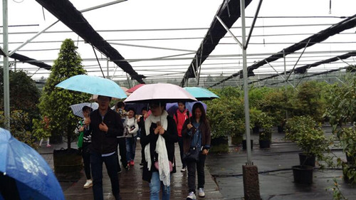 亚洲精品白浆高清久久久久久