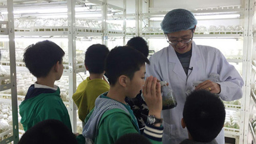 亚洲精品白浆高清久久久久久