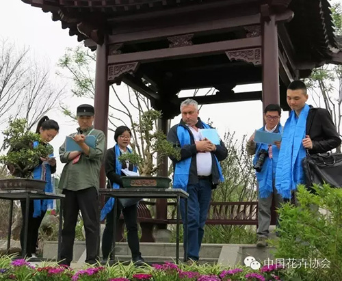 亚洲精品白浆高清久久久久久