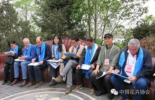 亚洲精品白浆高清久久久久久