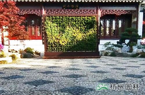 亚洲精品白浆高清久久久久久
