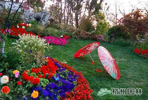 亚洲精品白浆高清久久久久久