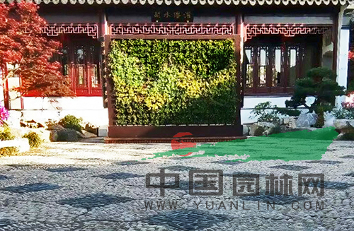 亚洲精品白浆高清久久久久久