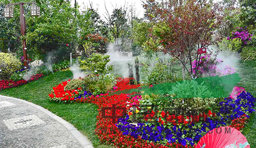 亚洲精品白浆高清久久久久久