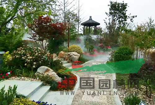 亚洲精品白浆高清久久久久久