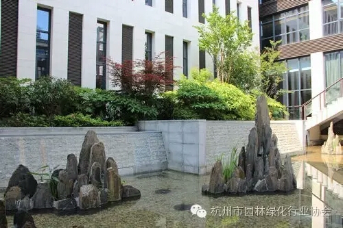 亚洲精品白浆高清久久久久久