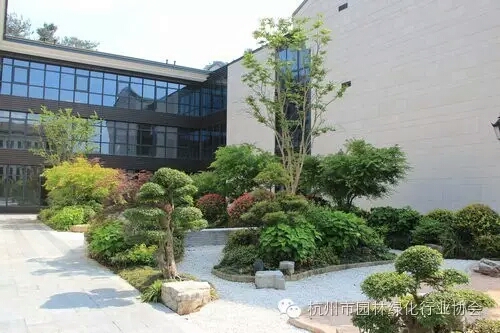 亚洲精品白浆高清久久久久久