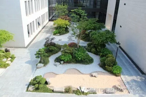 亚洲精品白浆高清久久久久久