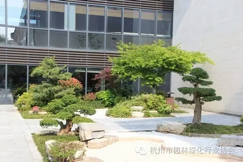 亚洲精品白浆高清久久久久久