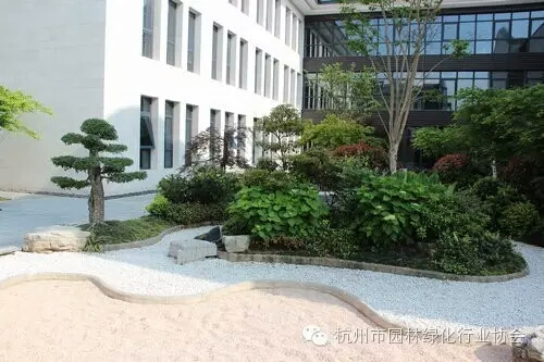 亚洲精品白浆高清久久久久久