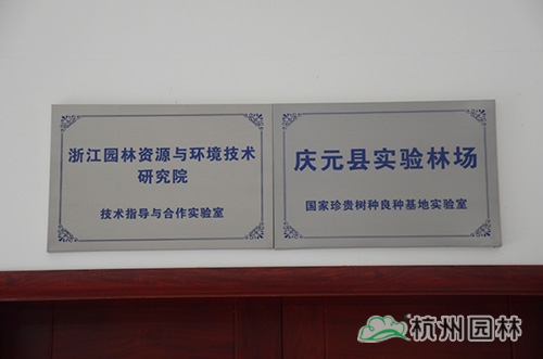 亚洲精品白浆高清久久久久久