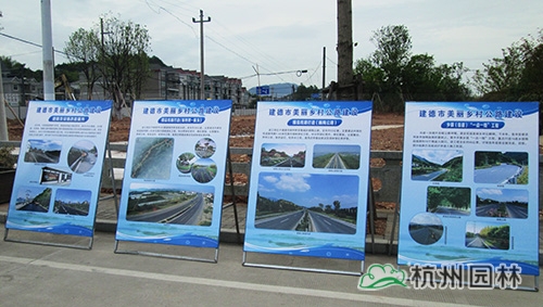 亚洲精品白浆高清久久久久久
