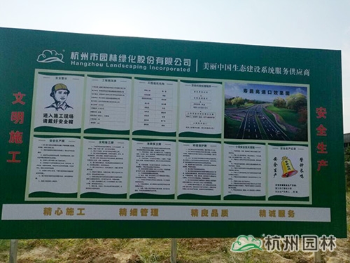 亚洲精品白浆高清久久久久久