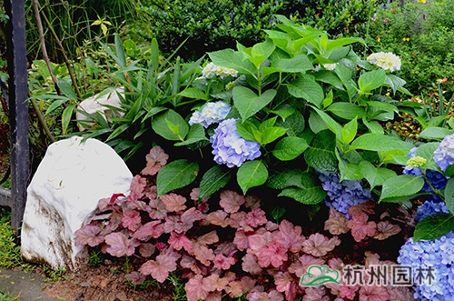 亚洲精品白浆高清久久久久久