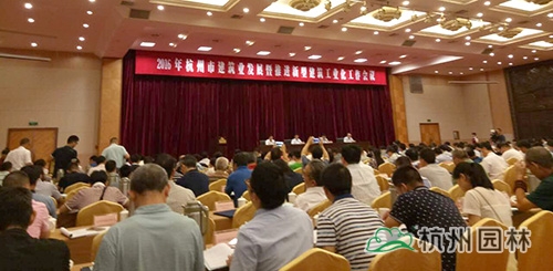 亚洲精品白浆高清久久久久久