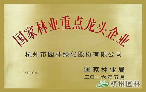 亚洲精品白浆高清久久久久久