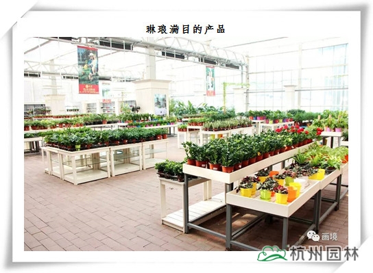 亚洲精品白浆高清久久久久久
