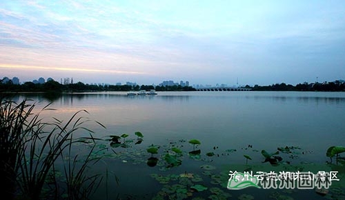 亚洲精品白浆高清久久久久久