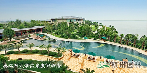 亚洲精品白浆高清久久久久久