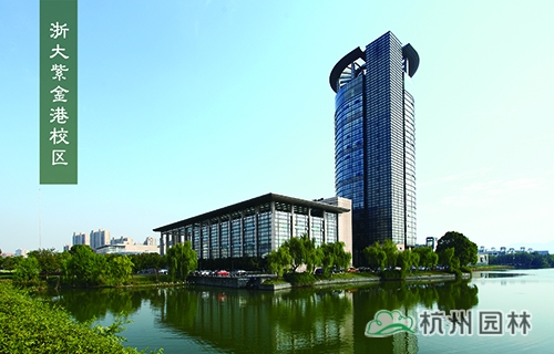 亚洲精品白浆高清久久久久久