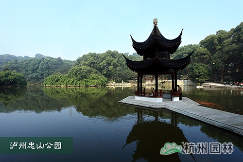 亚洲精品白浆高清久久久久久