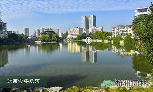 亚洲精品白浆高清久久久久久