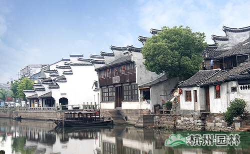 亚洲精品白浆高清久久久久久